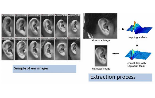 Ear Image Recognition